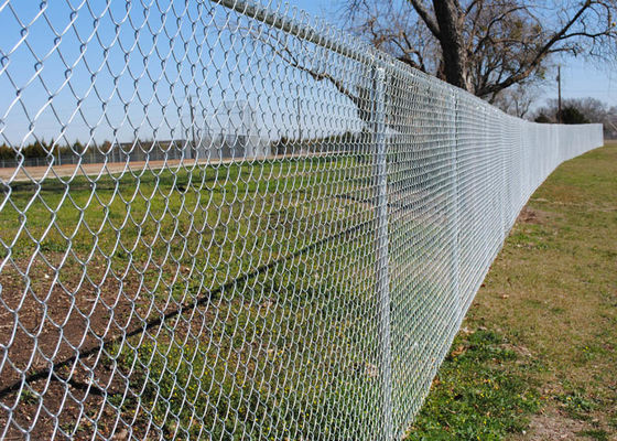 Hàng rào lưới kim loại 6 ft x 50 ft 11,5 Dây thép hợp kim PVC tráng thép