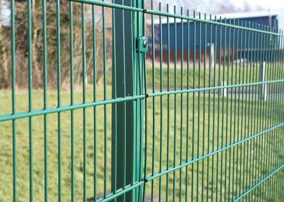PVC Hàng rào lưới thép hàng rào và hàng rào vườn mạ kẽm 3 D cong